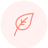Reiki Bienestar