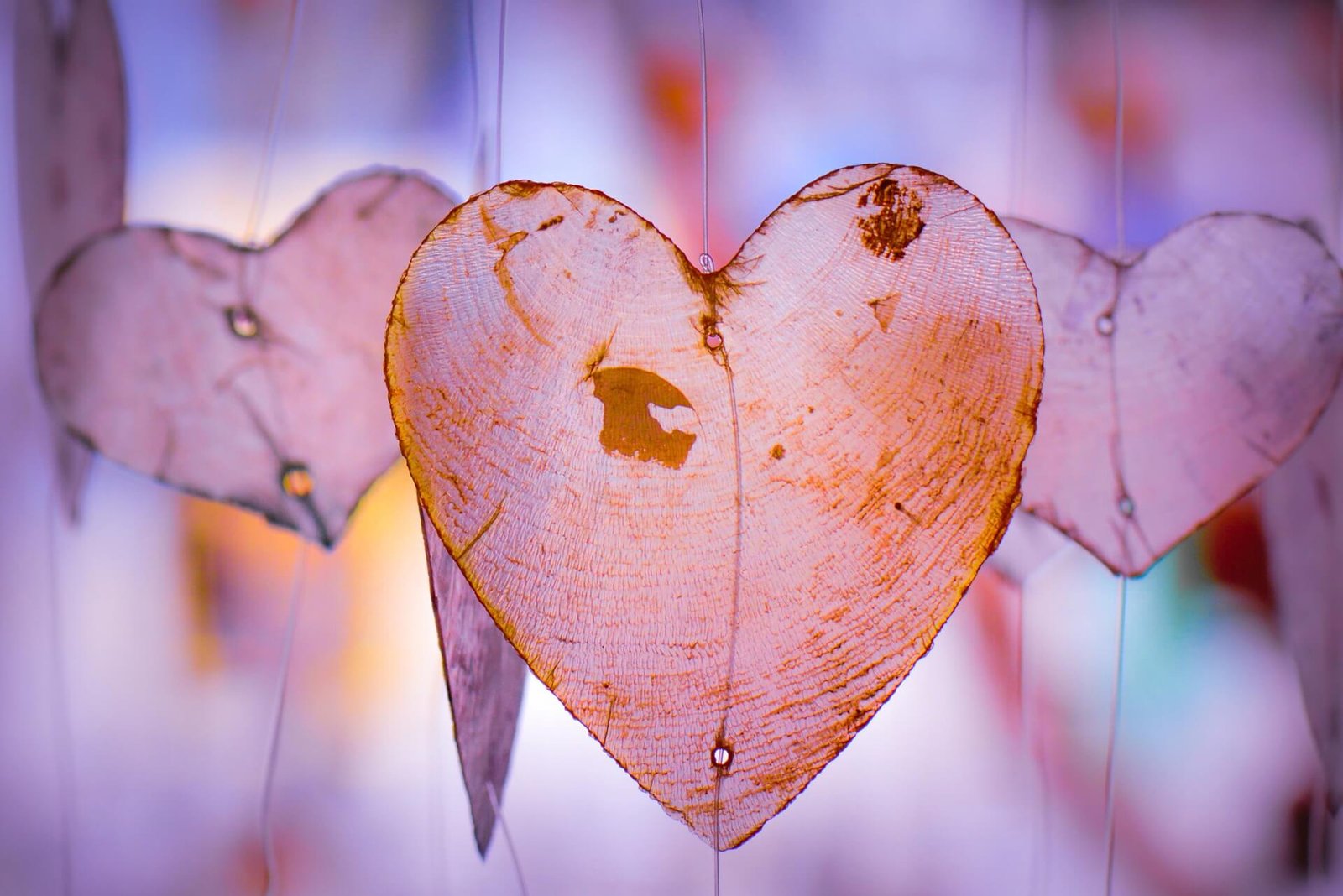 Amor