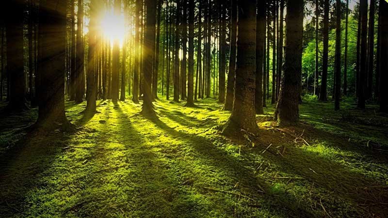 9-Beneficios-del-Reiki 9-Beneficios-del-Reiki