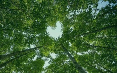 9 Beneficios del Reiki