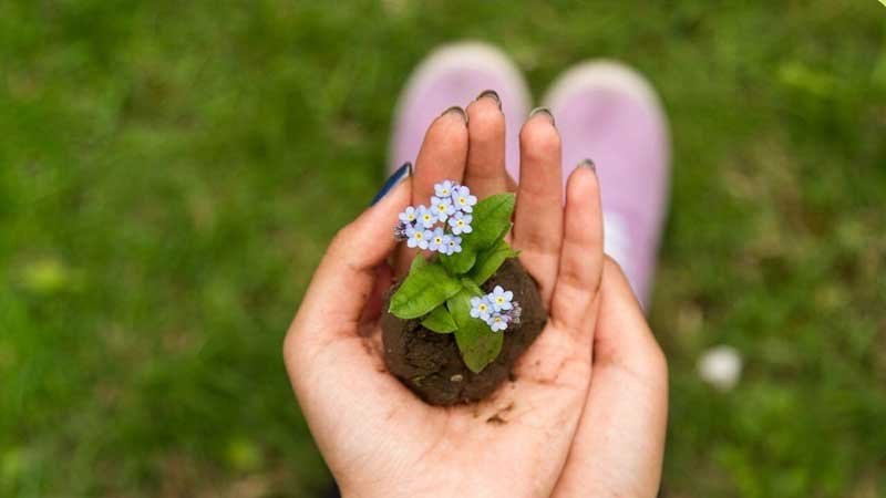Beneficios-del-reiki Beneficios-del-reiki