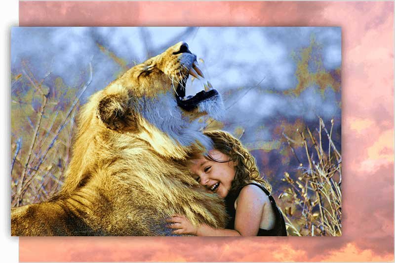 Reiki-animales Reiki-animales