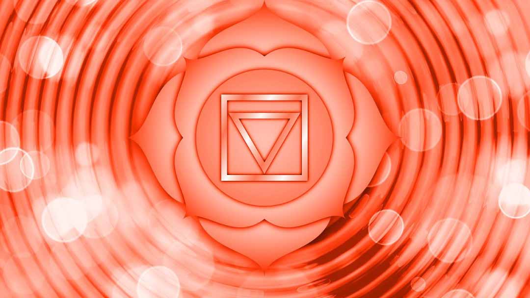 Primer-Chakra-Muladhara-o-Chakra-Raíz Primer-Chakra-Muladhara-o-Chakra-Raíz