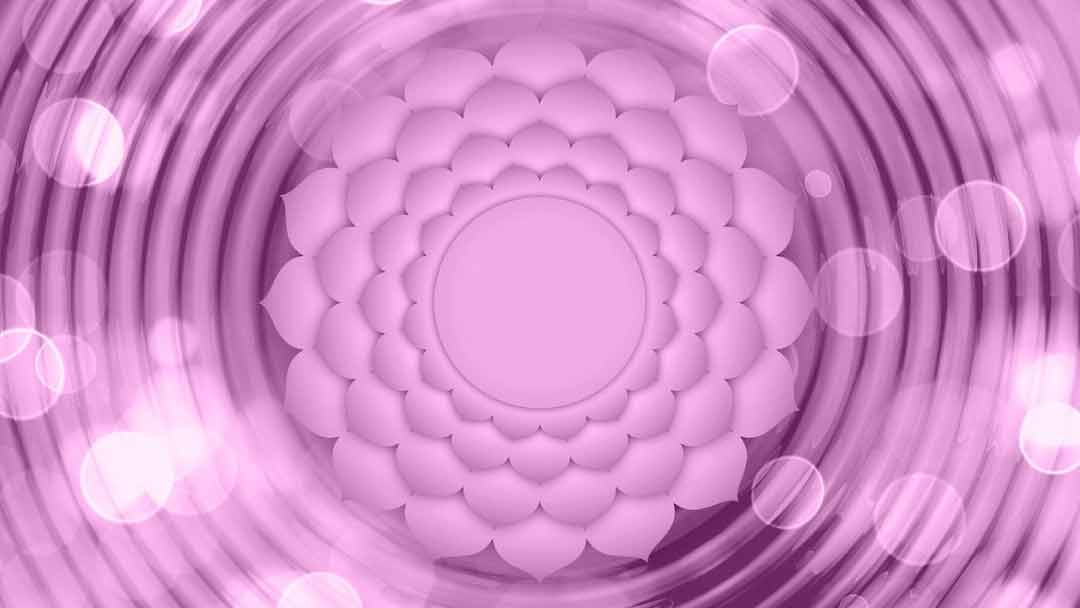 Séptimo-Chakra-Sahasrara-o-Chakra-Corona Séptimo-Chakra-Sahasrara-o-Chakra-Corona