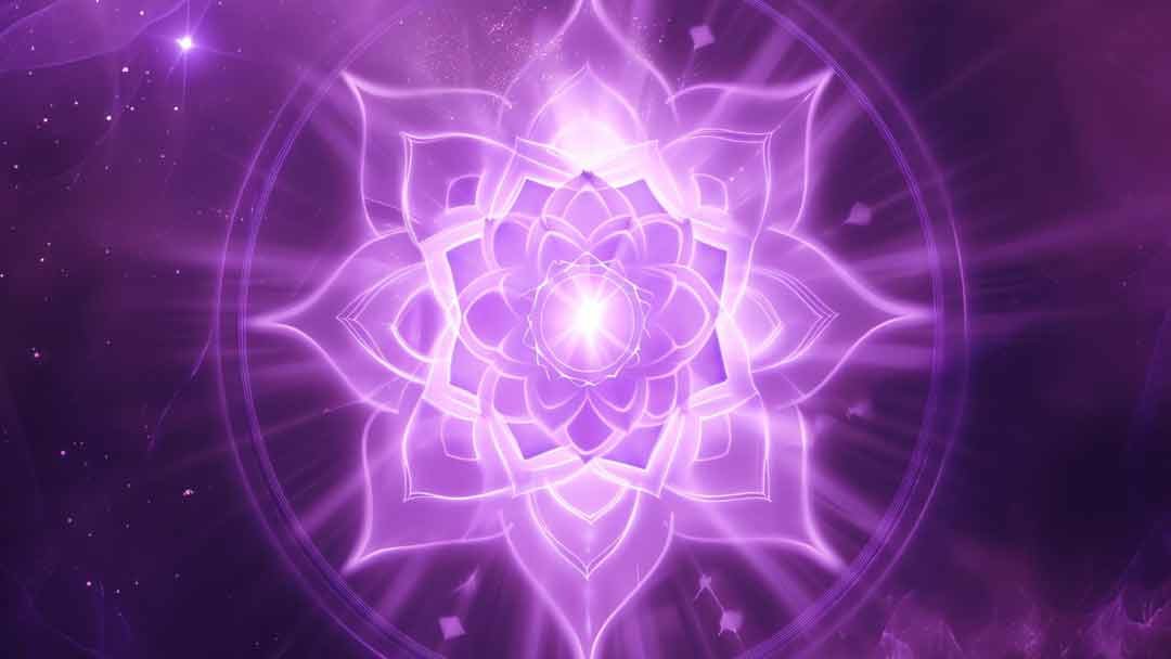 Reiki-Angélico-vs.-Otros-Tipos-de-Reiki Reiki-Angélico-vs.-Otros-Tipos-de-Reiki